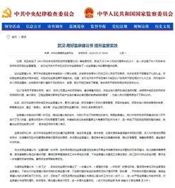 中央紀委國家監委網站報道武漢 用好監察建議書 提升監督實效