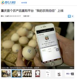 武漢互聯(lián)網(wǎng)農(nóng)產(chǎn)品公司網(wǎng)站開發(fā)中的設(shè)計(jì)與插畫應(yīng)用